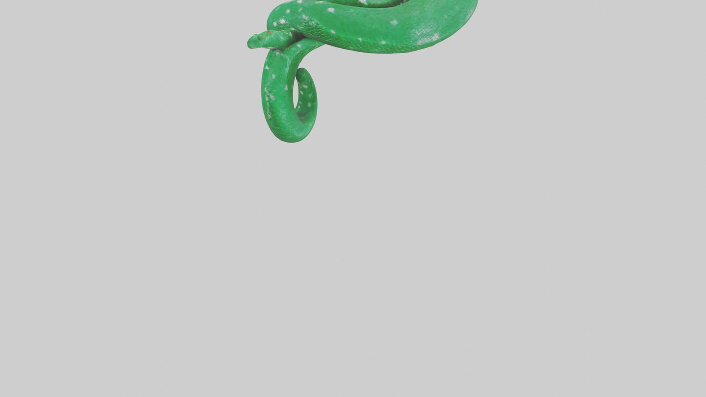 3D model Emerald Tree Boa statue model VR / AR / low-poly