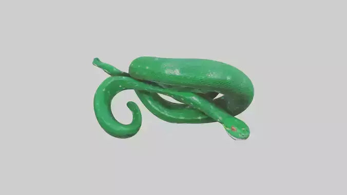 3D model Emerald Tree Boa statue model VR / AR / low-poly