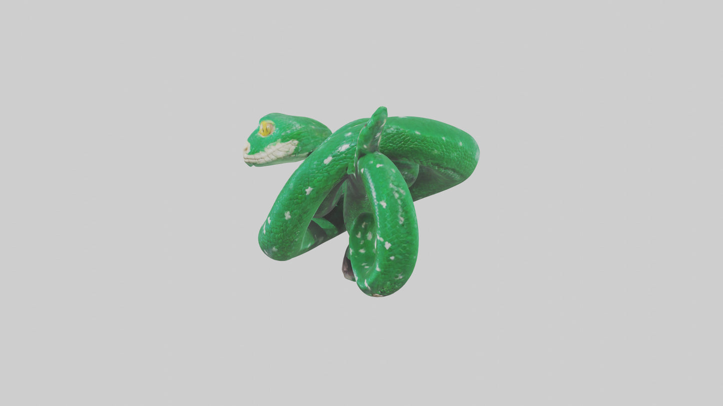 3D model Emerald Tree Boa statue model VR / AR / low-poly