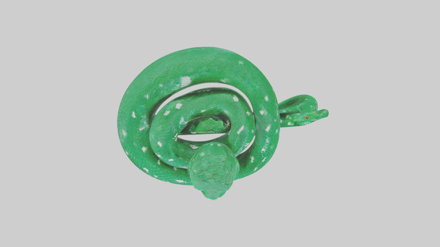 3D model Emerald Tree Boa statue model VR / AR / low-poly