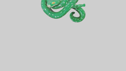 3D model Emerald Tree Boa statue model VR / AR / low-poly