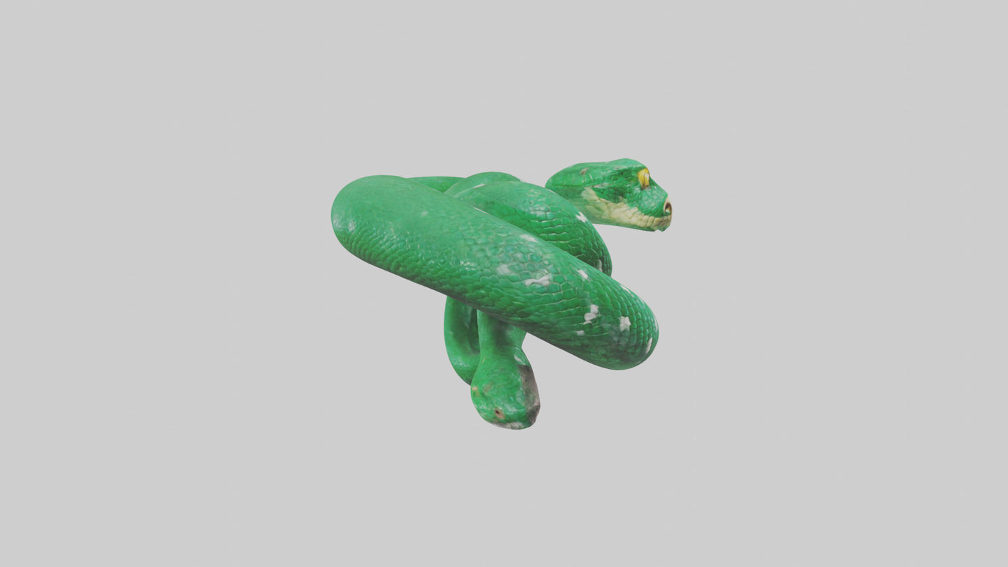 3D model Emerald Tree Boa statue model VR / AR / low-poly