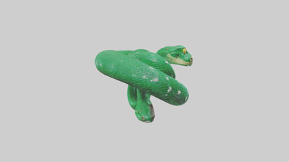 3D model Emerald Tree Boa statue model VR / AR / low-poly