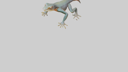 3D model Emperor Newt climbing model VR / AR / low-poly