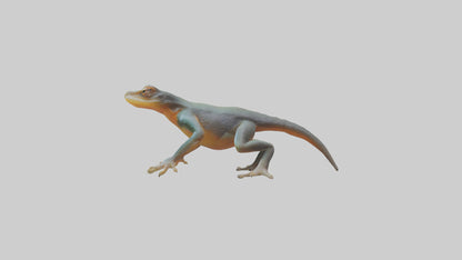 3D model Emperor Newt climbing model VR / AR / low-poly