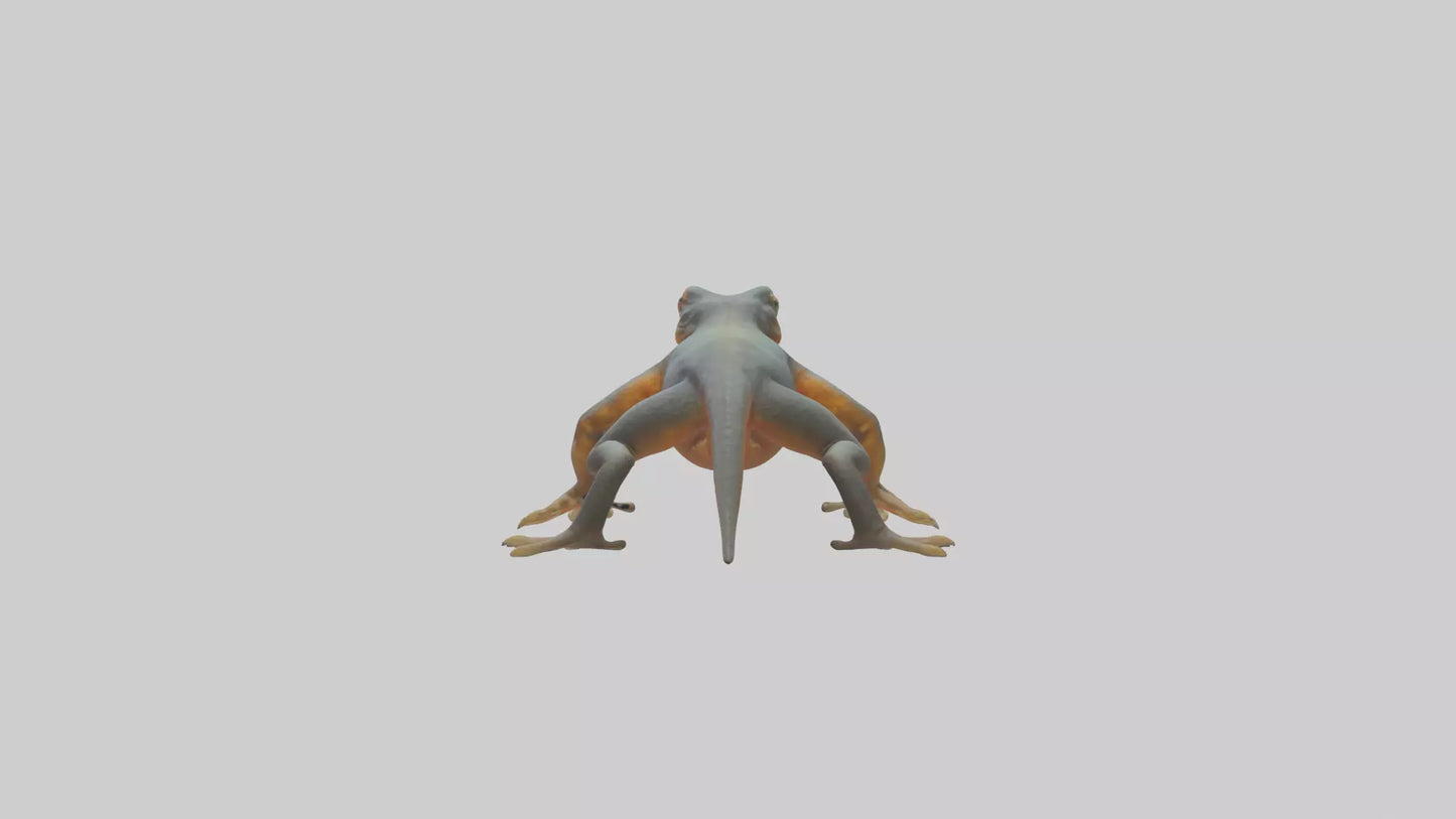 3D model Emperor Newt climbing model VR / AR / low-poly