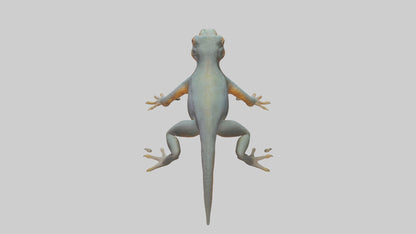 3D model Emperor Newt climbing model VR / AR / low-poly