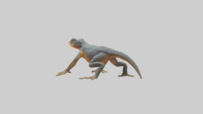 3D model Emperor Newt climbing model VR / AR / low-poly