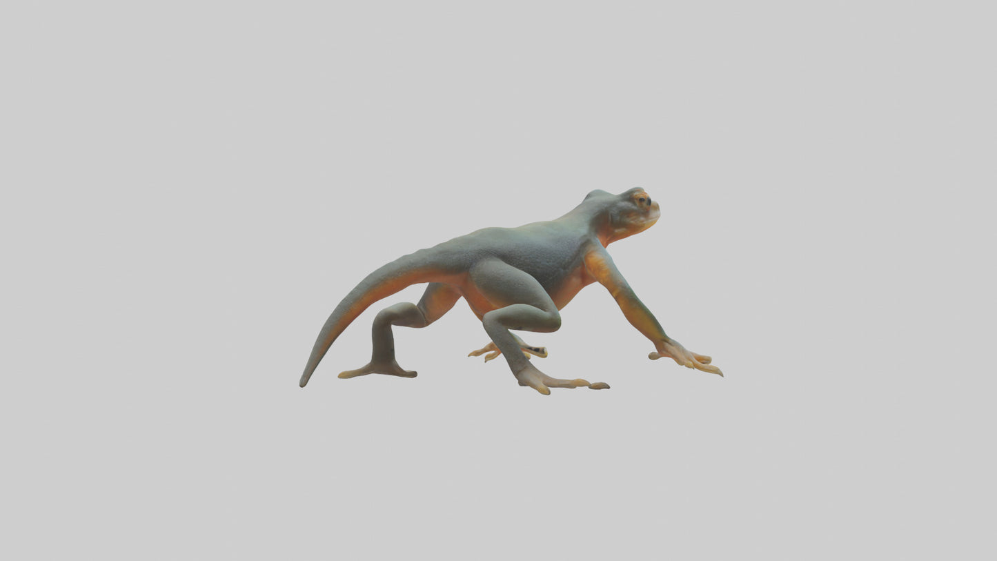 3D model Emperor Newt climbing model VR / AR / low-poly