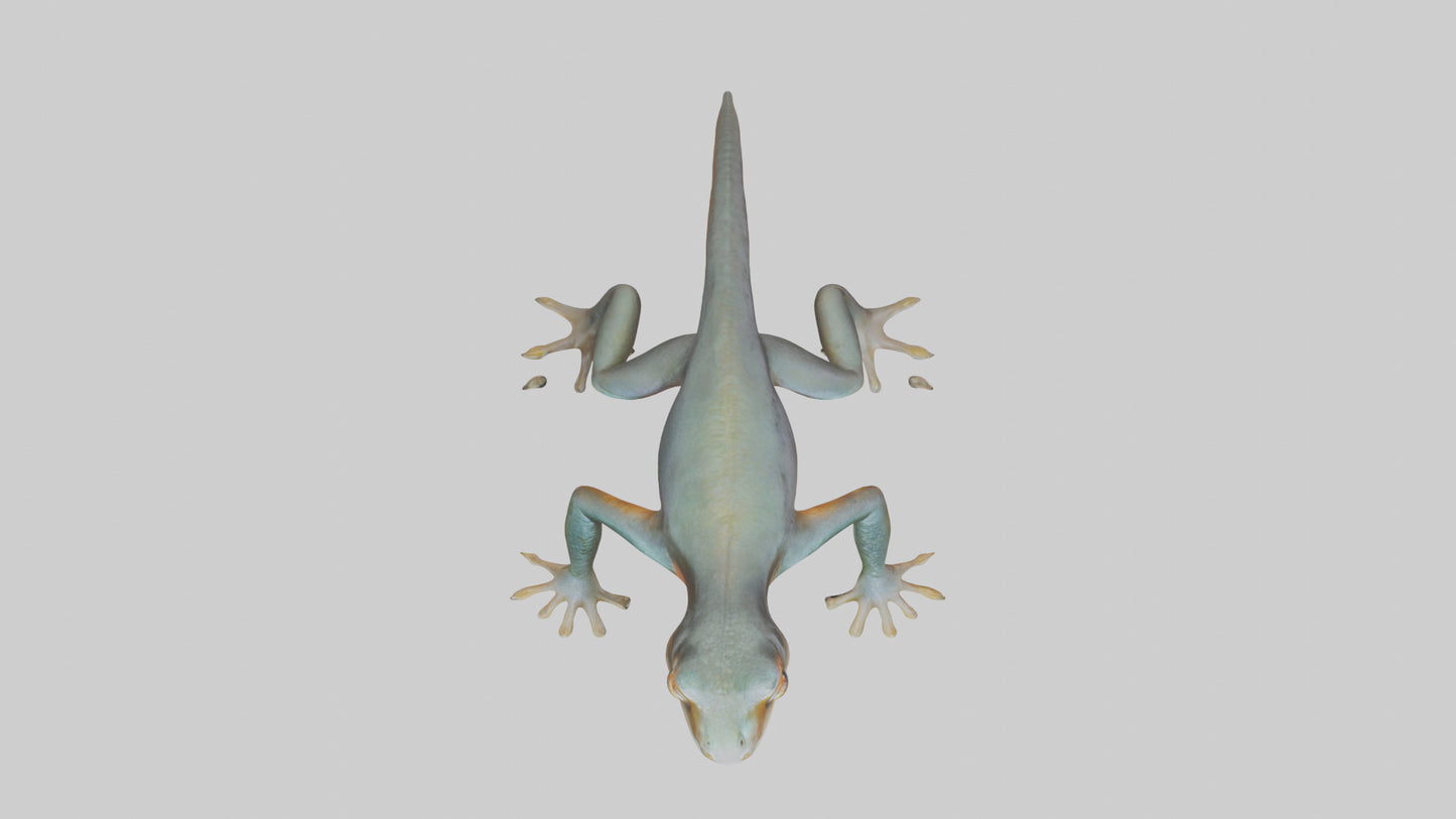 3D model Emperor Newt climbing model VR / AR / low-poly