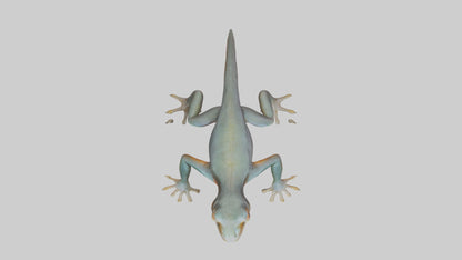 3D model Emperor Newt climbing model VR / AR / low-poly