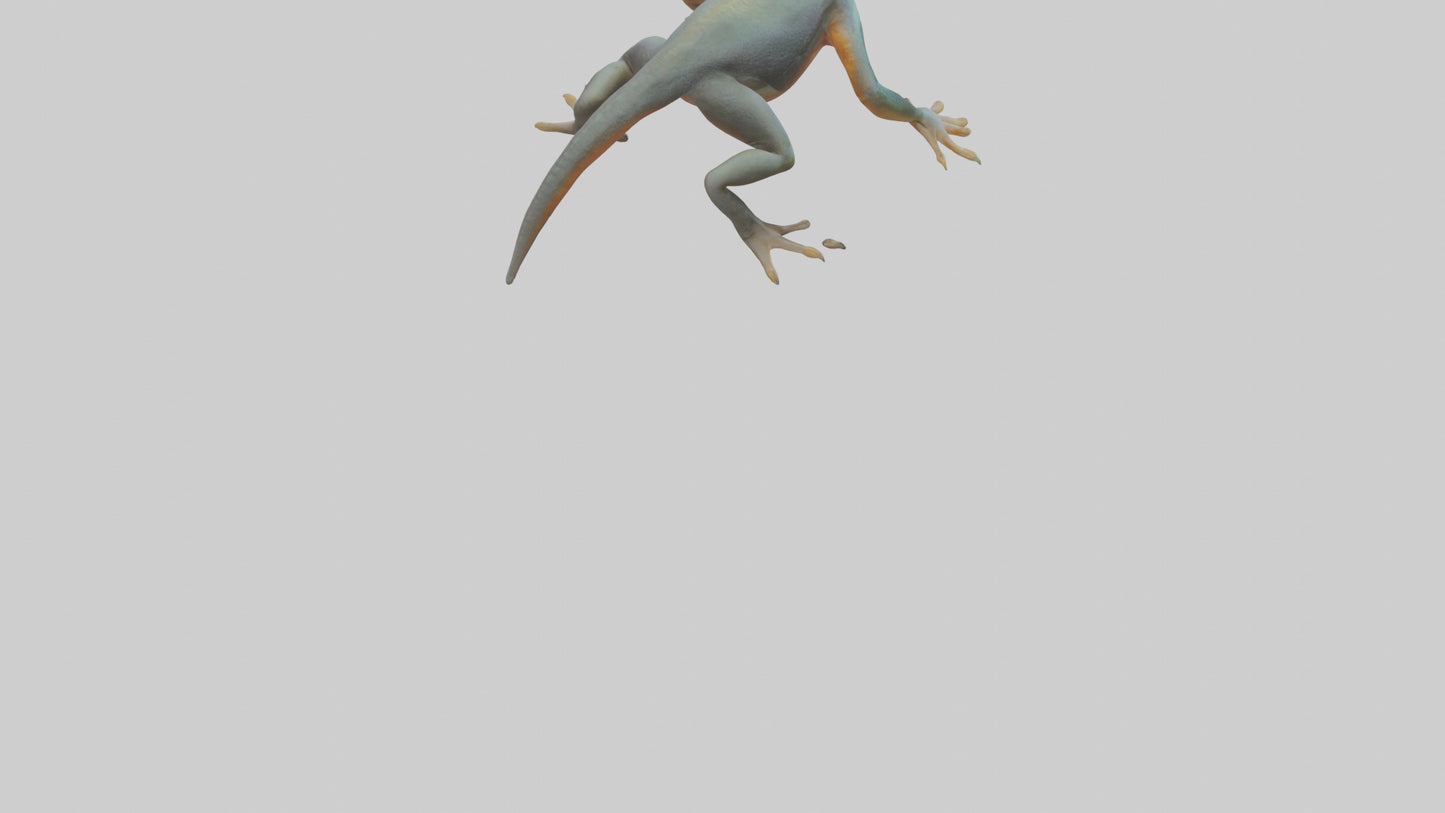 3D model Emperor Newt climbing model VR / AR / low-poly