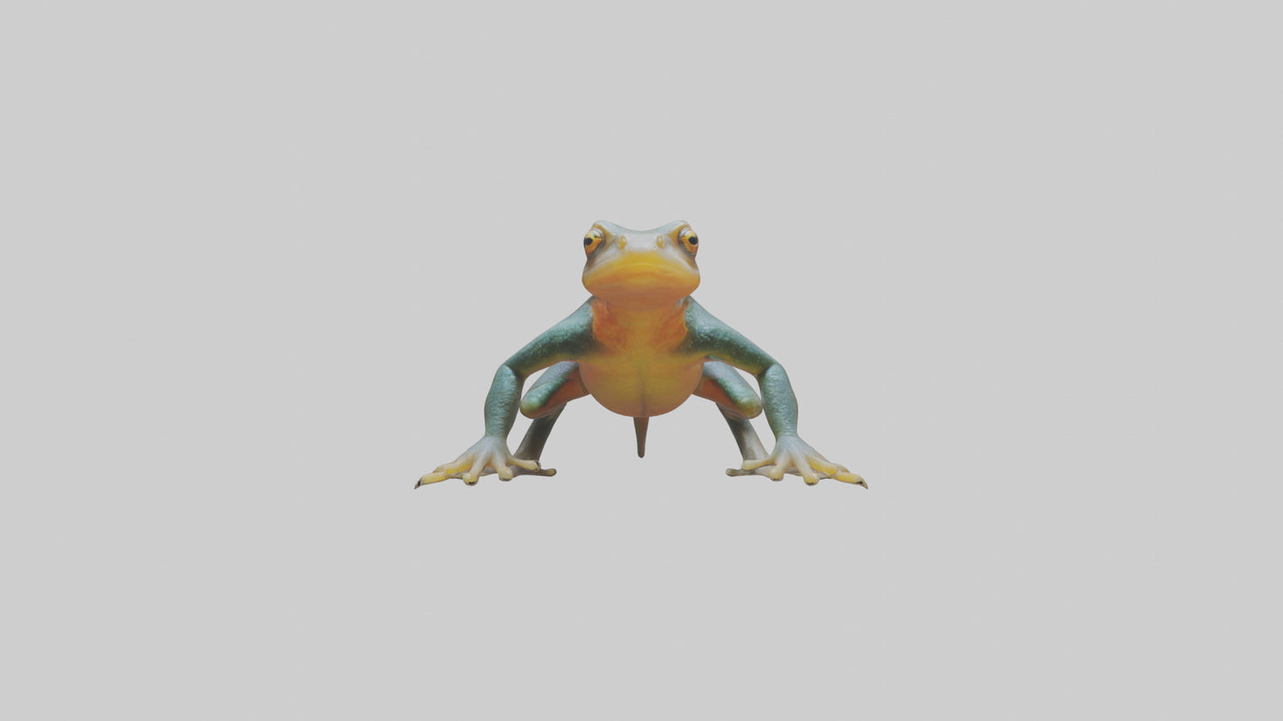 3D model Emperor Newt climbing model VR / AR / low-poly
