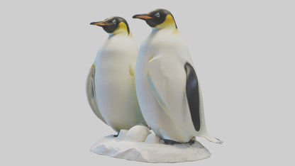 3D model Emperor Penguin nesting model VR / AR / low-poly