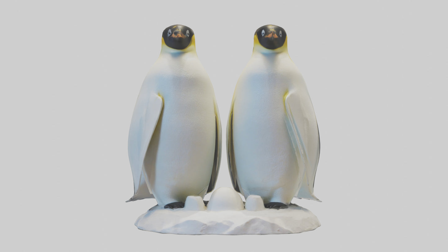 3D model Emperor Penguin nesting model VR / AR / low-poly