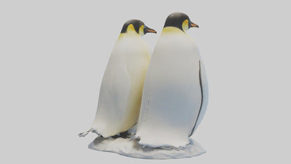 3D model Emperor Penguin nesting model VR / AR / low-poly