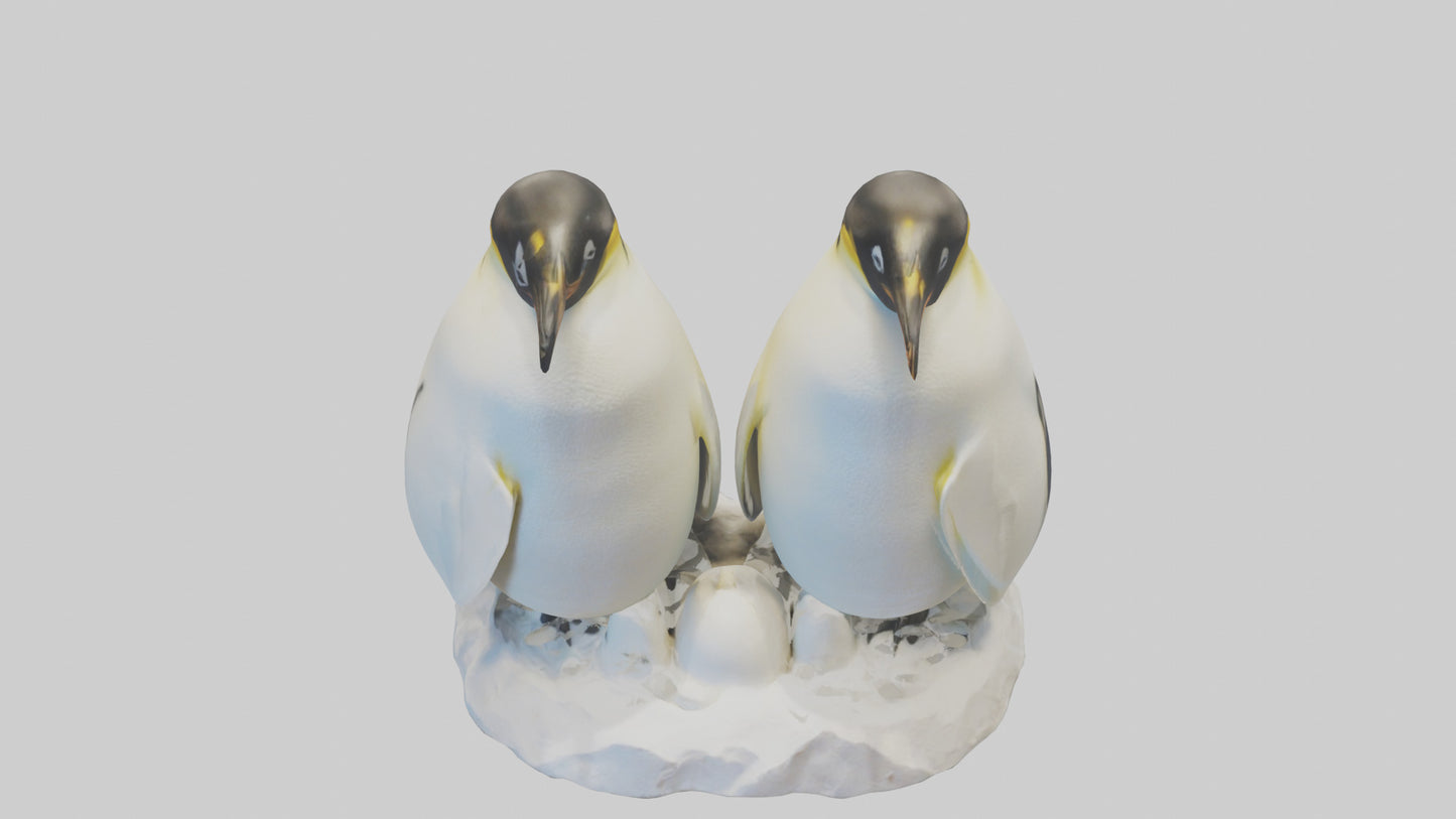 3D model Emperor Penguin nesting model VR / AR / low-poly