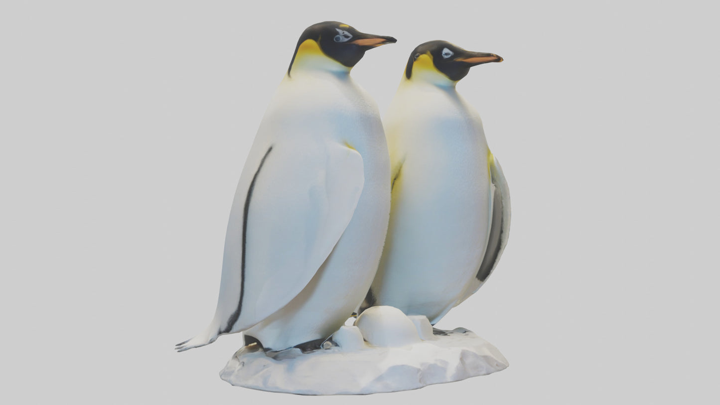 3D model Emperor Penguin nesting model VR / AR / low-poly