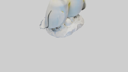 3D model Emperor Penguin nesting model VR / AR / low-poly