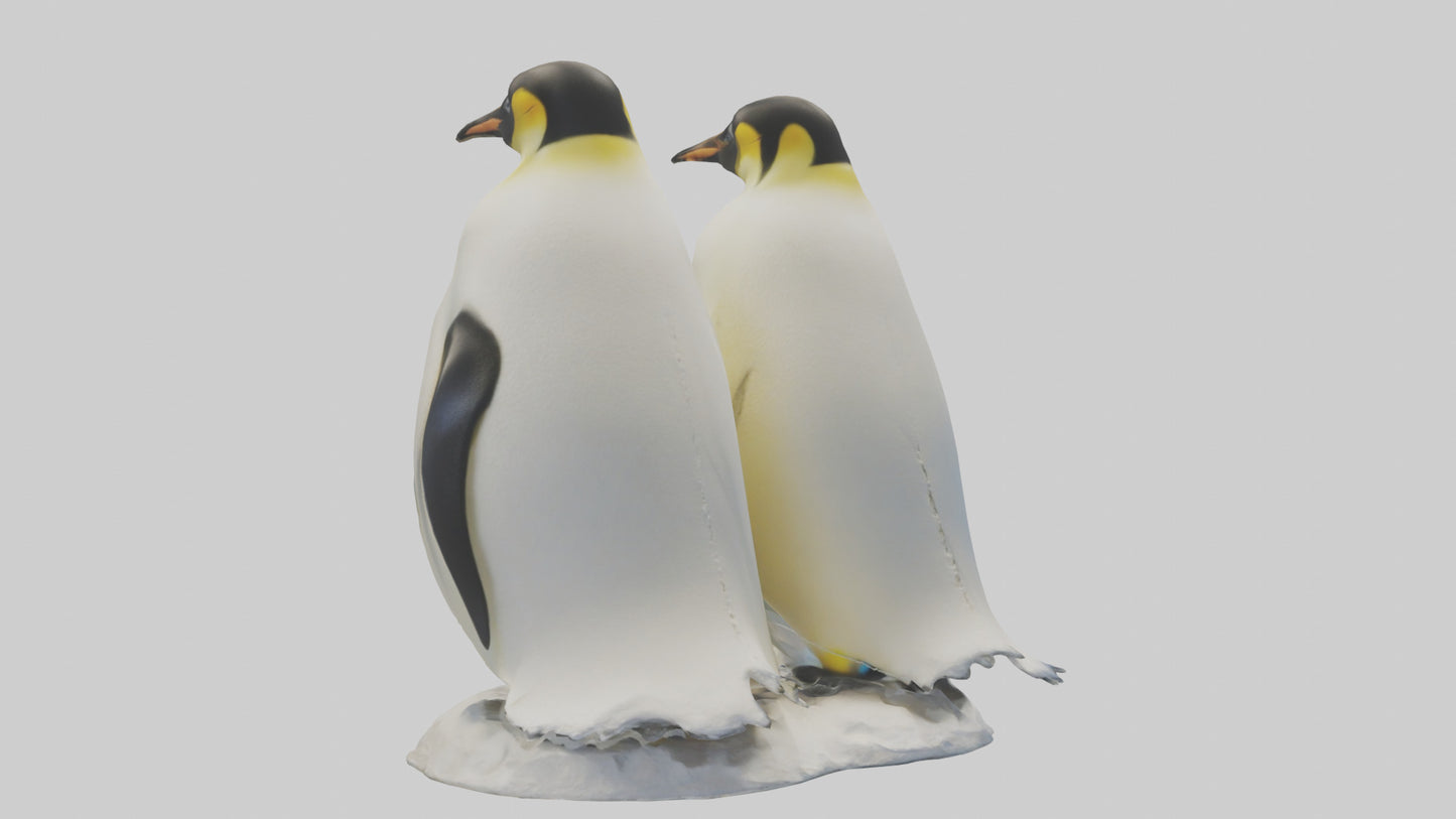 3D model Emperor Penguin nesting model VR / AR / low-poly
