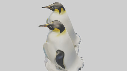 3D model Emperor Penguin nesting model VR / AR / low-poly