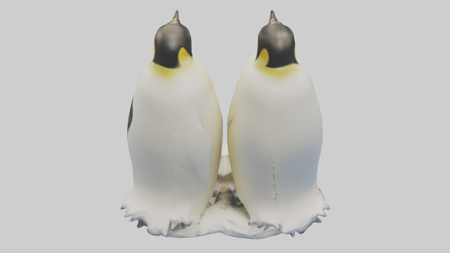 3D model Emperor Penguin nesting model VR / AR / low-poly