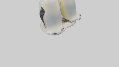 3D model Emperor Penguin nesting model VR / AR / low-poly