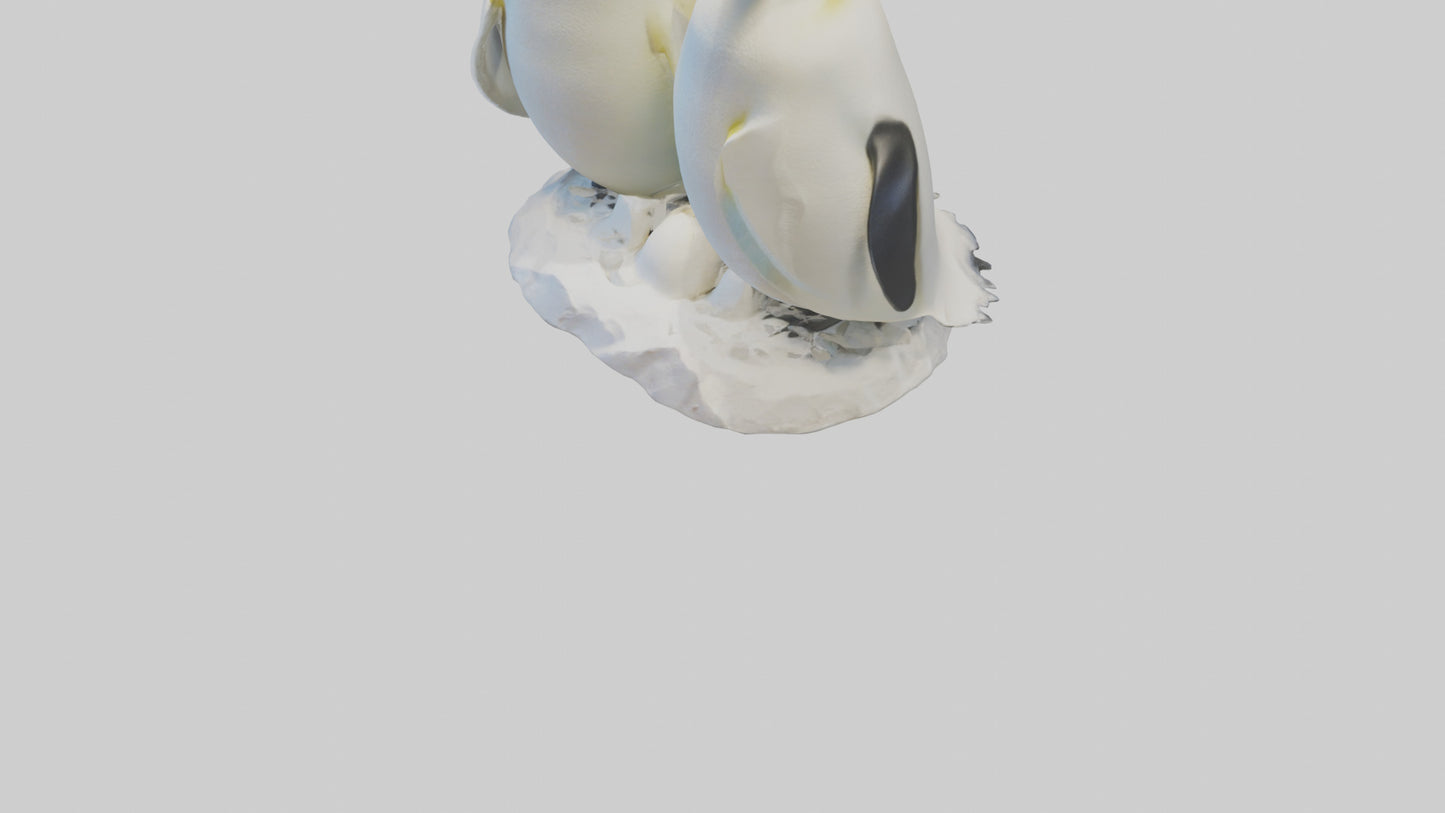 3D model Emperor Penguin nesting model VR / AR / low-poly