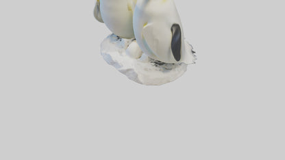 3D model Emperor Penguin nesting model VR / AR / low-poly