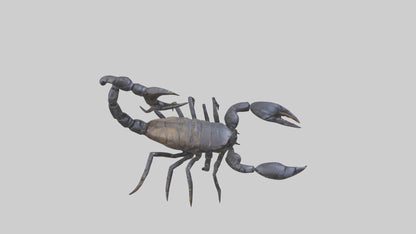 3D model Emperor Scorpion defending model VR / AR / low-poly