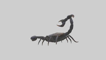 3D model Emperor Scorpion defending model VR / AR / low-poly