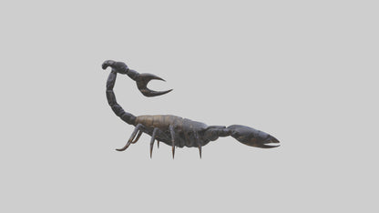 3D model Emperor Scorpion defending model VR / AR / low-poly