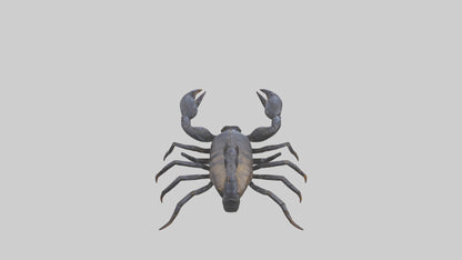 3D model Emperor Scorpion defending model VR / AR / low-poly