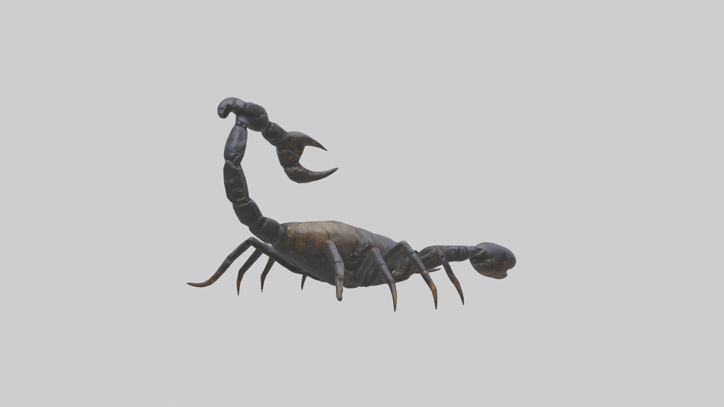 3D model Emperor Scorpion defending model VR / AR / low-poly