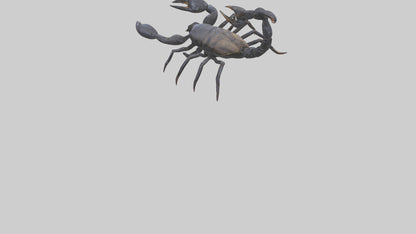 3D model Emperor Scorpion defending model VR / AR / low-poly