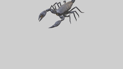 3D model Emperor Scorpion defending model VR / AR / low-poly