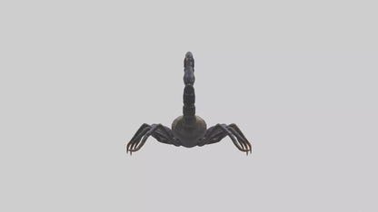 3D model Emperor Scorpion defending model VR / AR / low-poly