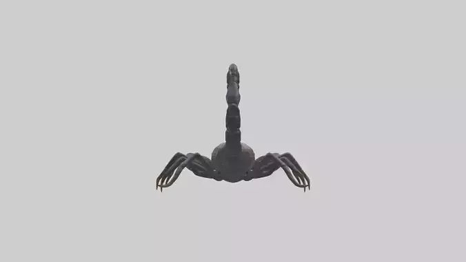 3D model Emperor Scorpion defending model VR / AR / low-poly