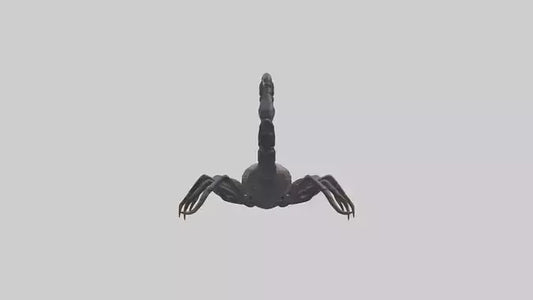 3D model Emperor Scorpion defending model VR / AR / low-poly