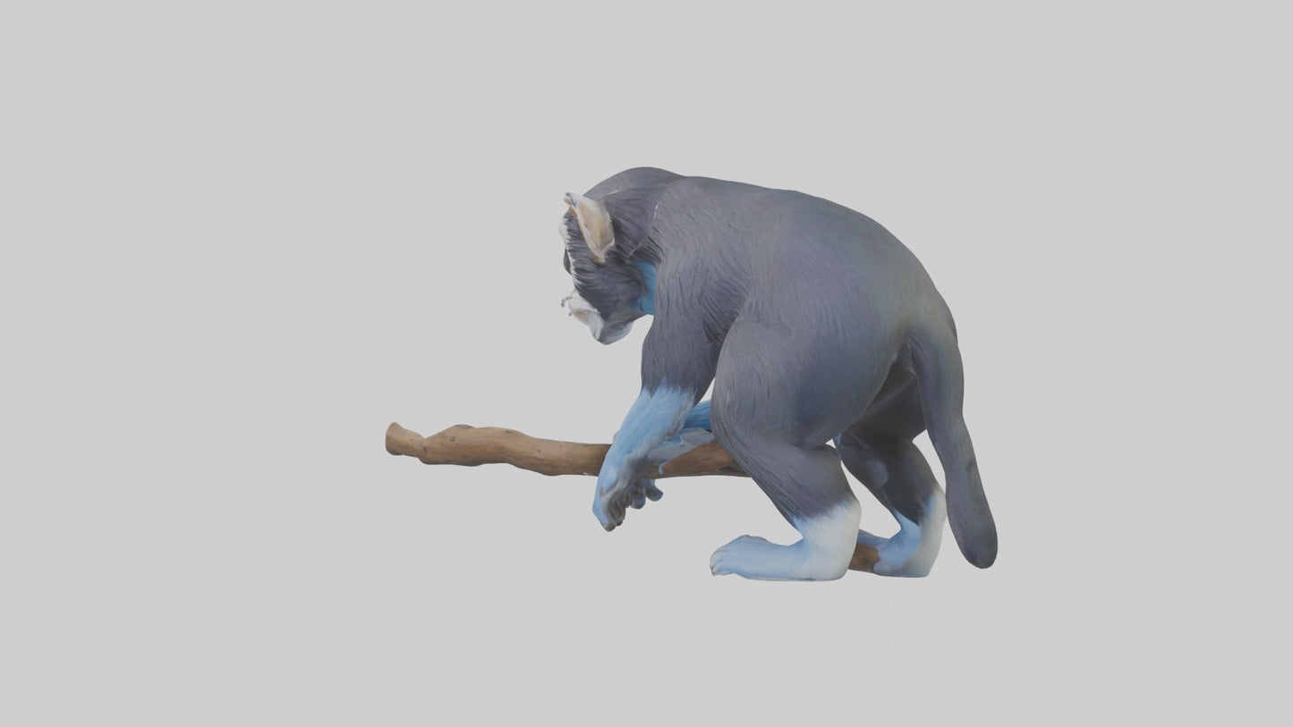 3D model Emperor Tamarin perched model 2 VR / AR / low-poly