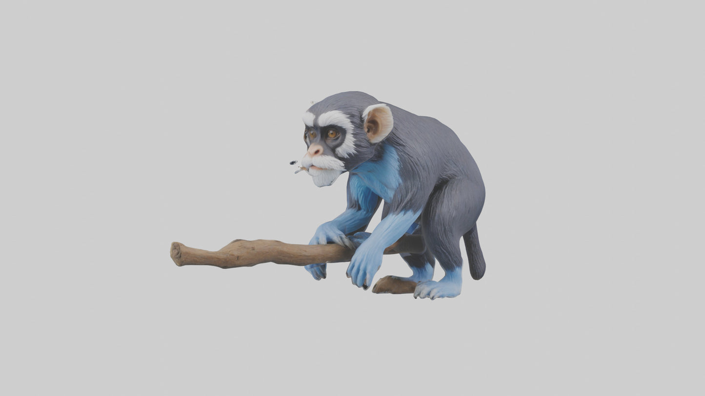 3D model Emperor Tamarin perched model 2 VR / AR / low-poly