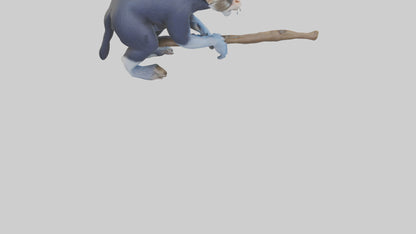 3D model Emperor Tamarin perched model 2 VR / AR / low-poly