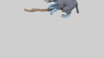 3D model Emperor Tamarin perched model 2 VR / AR / low-poly