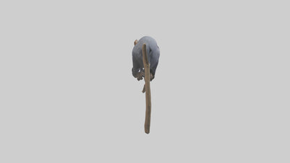 Emperor Tamarin perched model VR / AR / low-poly