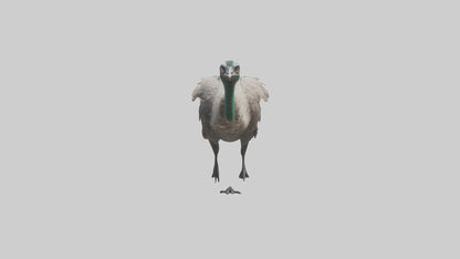 3D model Emu running model VR / AR / low-poly