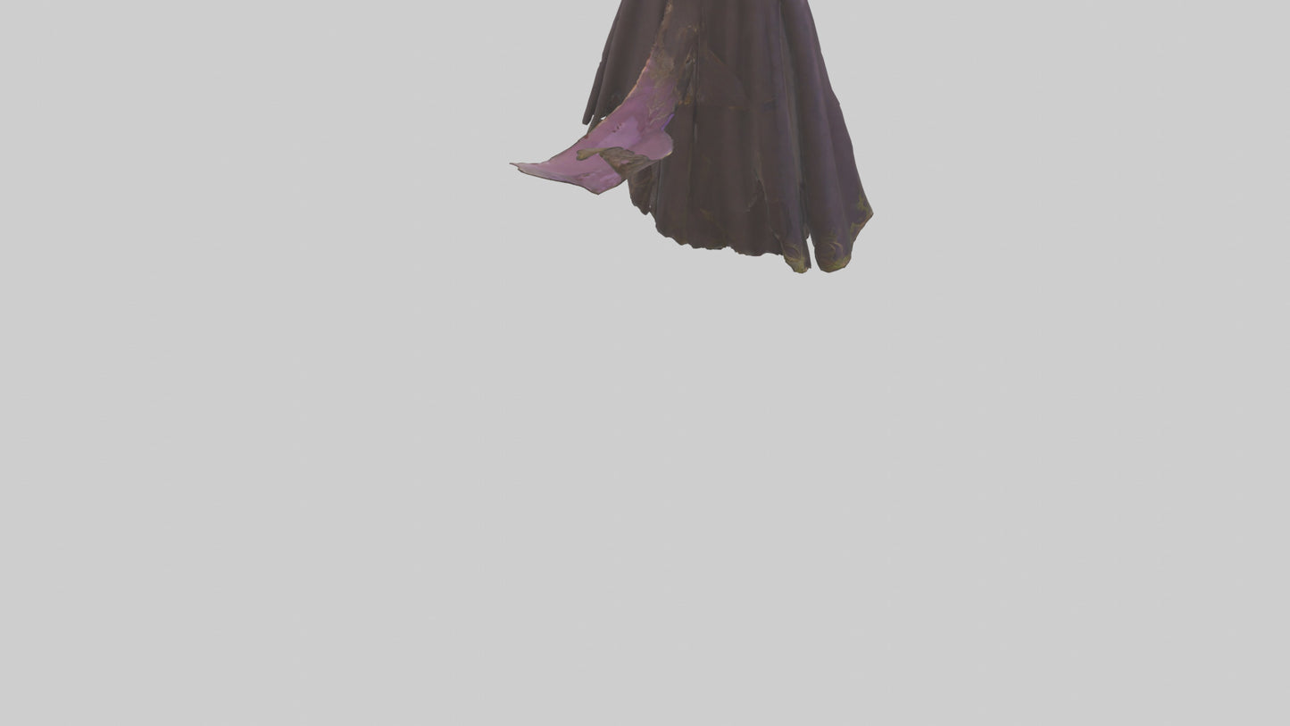 3D model Enchanted Cloak model VR / AR / low-poly