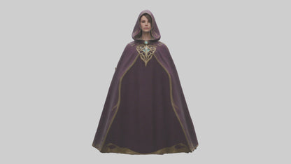 3D model Enchanted Cloak model VR / AR / low-poly