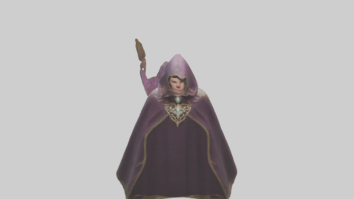 3D model Enchanted Cloak model VR / AR / low-poly