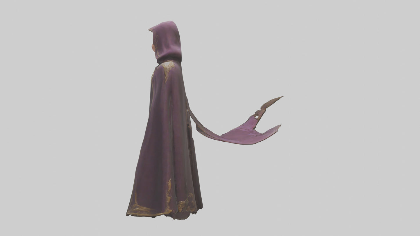 3D model Enchanted Cloak model VR / AR / low-poly