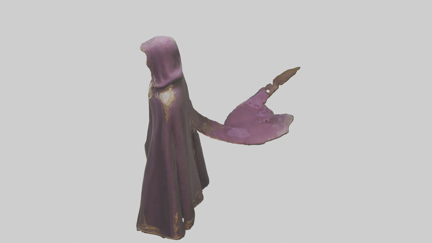 3D model Enchanted Cloak model VR / AR / low-poly